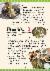 17페이지